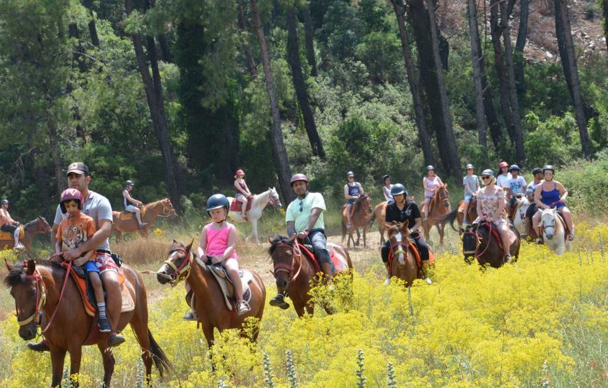 Marmaris Horse Riding Safari