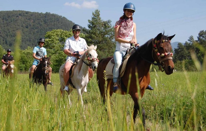 Marmaris Horse Riding Safari