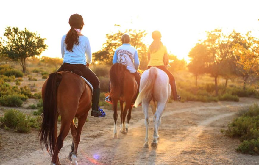 Horse Riding Experience in Fethiye