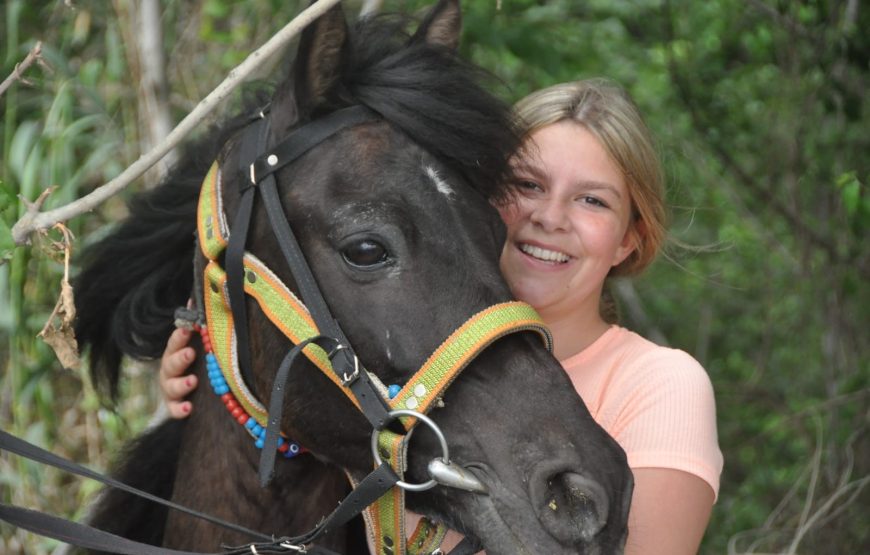 Horse Riding Experience in Fethiye